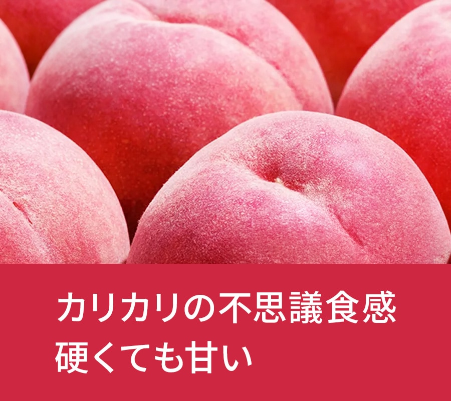 �R�`���@���ǂ낫