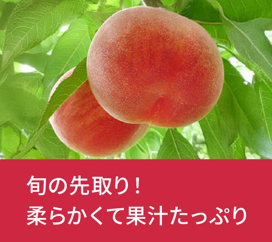 �R�����@���씒�P