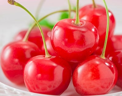 �t���[�c�����