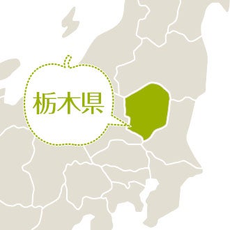 ɂ藜