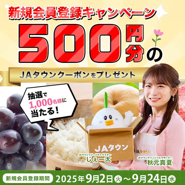 VKo^Ly[ԒVKo^̒璊I1,000l500~JA^EN[|v[g!VKo^ԁF2025N92()〜2025N924()N[|̕t^тp\Ԃ̓Ly[IɂȂ܂B