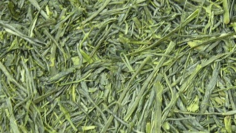 t̉摜