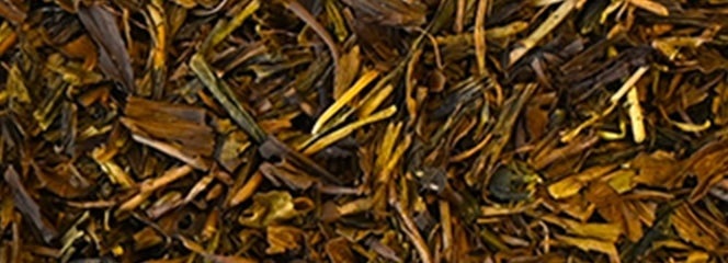 t̉摜