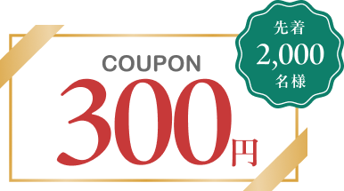 300�~�N�[�|���̃C���X�g