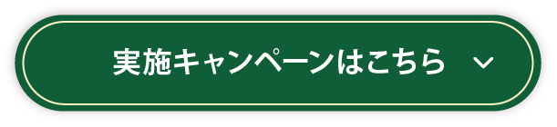 {Ly[͂