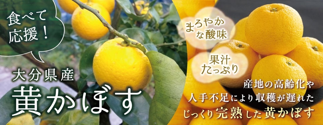 �啪���Y�����ڂ��H�ׂĉ���