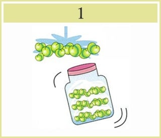 菇1