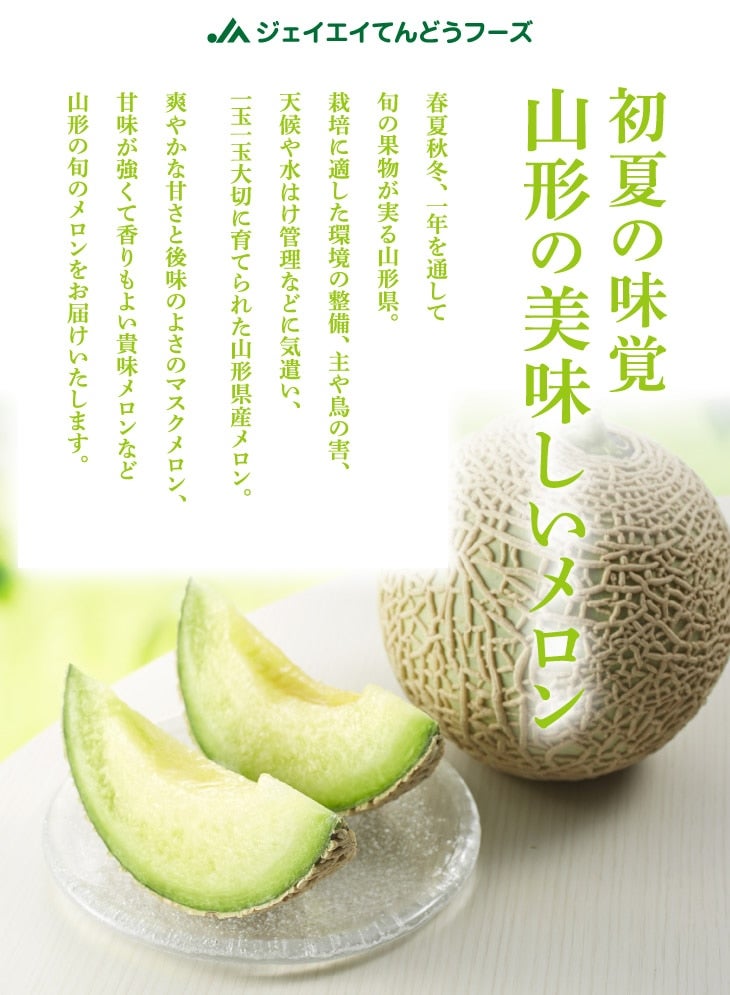 【お中元】青肉メロン2.5kg（2玉入り）