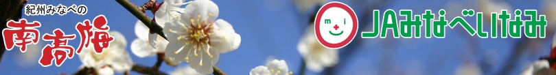 �g�b�v�y�[�W��