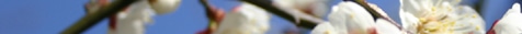 �g�b�v�y�[�W��