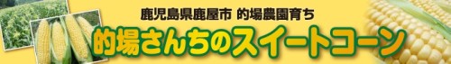 �I�ꂳ�񂿂̃X�C�[�g�R�[��